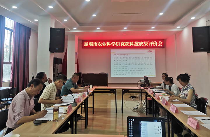 人参果高效栽培技术体系构建与应用 anli.jpg